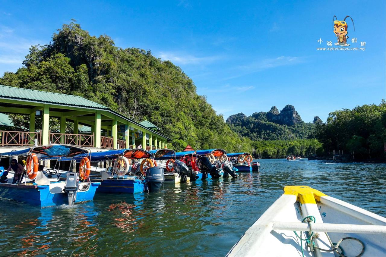 Jelajahi Mangrove Langkawi: Ekosistem Pesisir yang Memesona